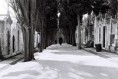 /album/galleria-fotografica/cemiterio-dos-prazeres-lisboa-1-jpg1/